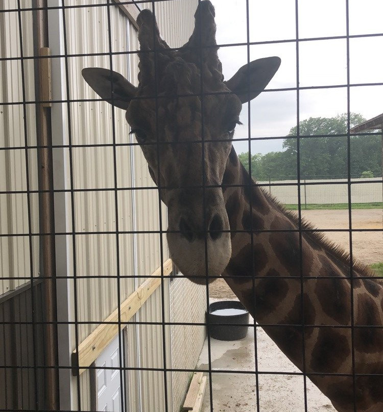 Monsoon Lagoon Water Park-克林顿港必去景点