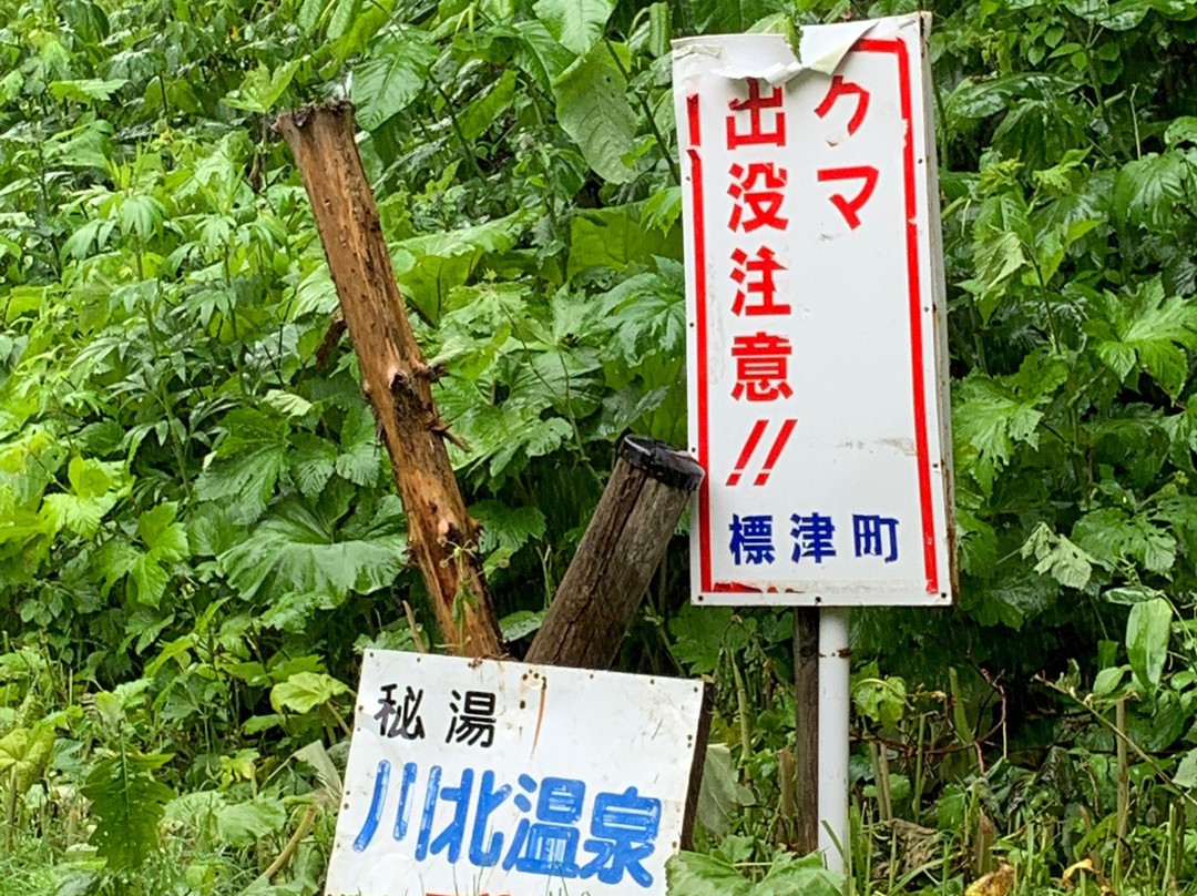 Kawakita Onsen景点图片