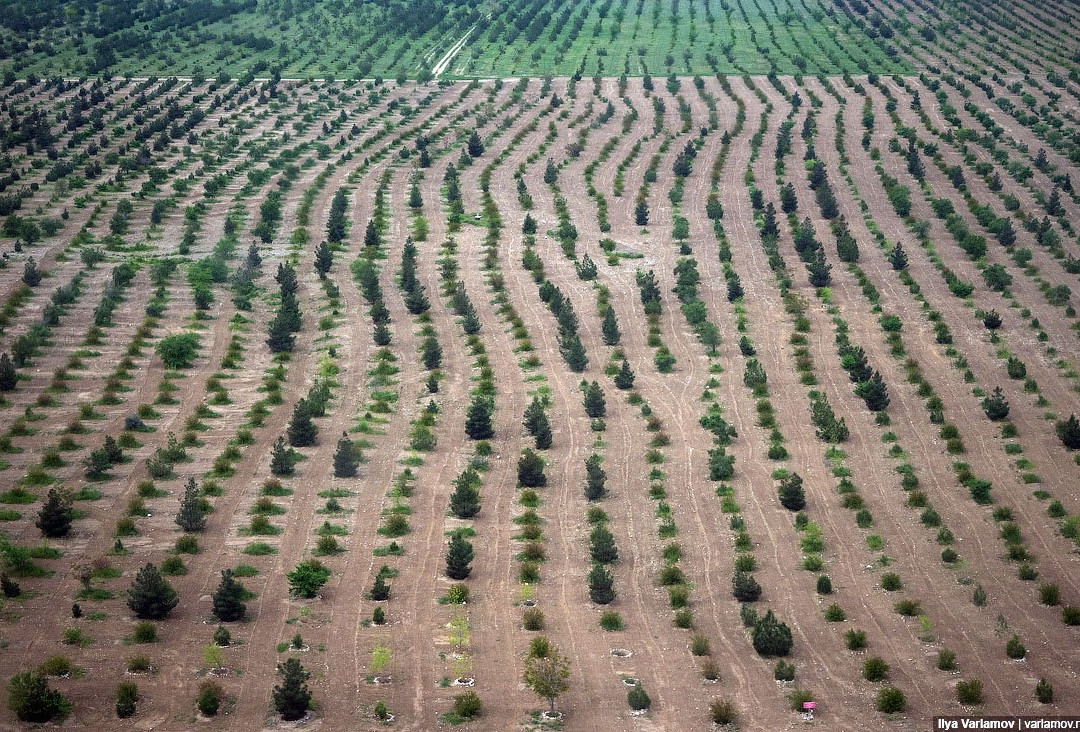 Mary Province旅游攻略图片