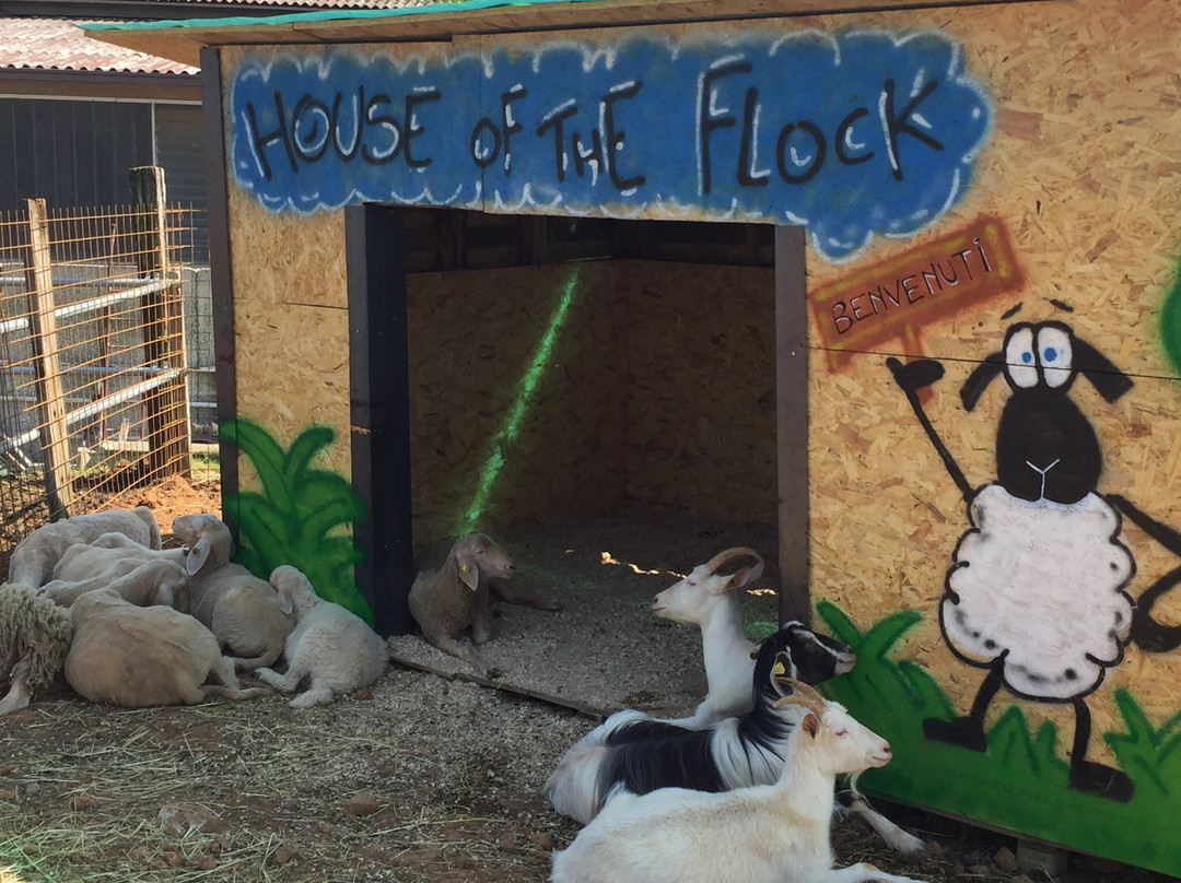 Birba Ranch-Tregasio必去景点