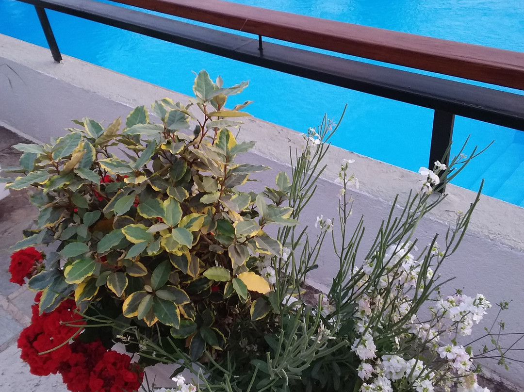 Amalia Hotel Delphi主图