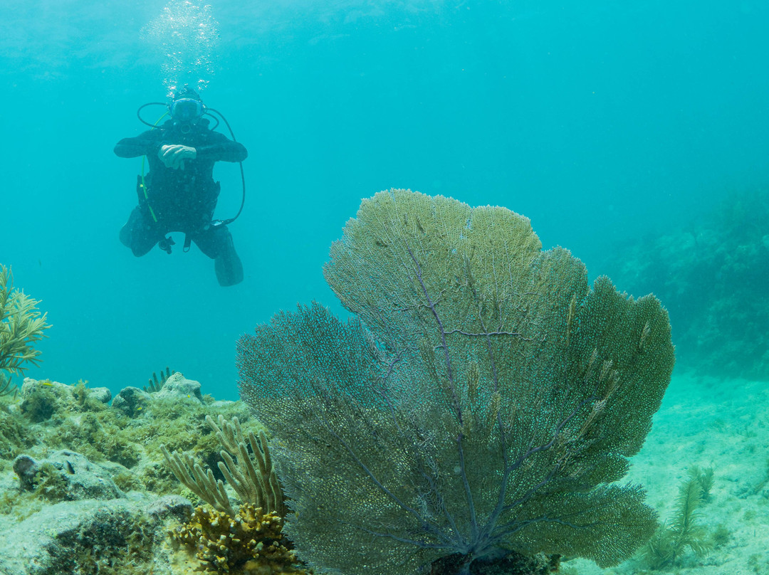 Adventure Watersport Charters-基韦斯特必去景点