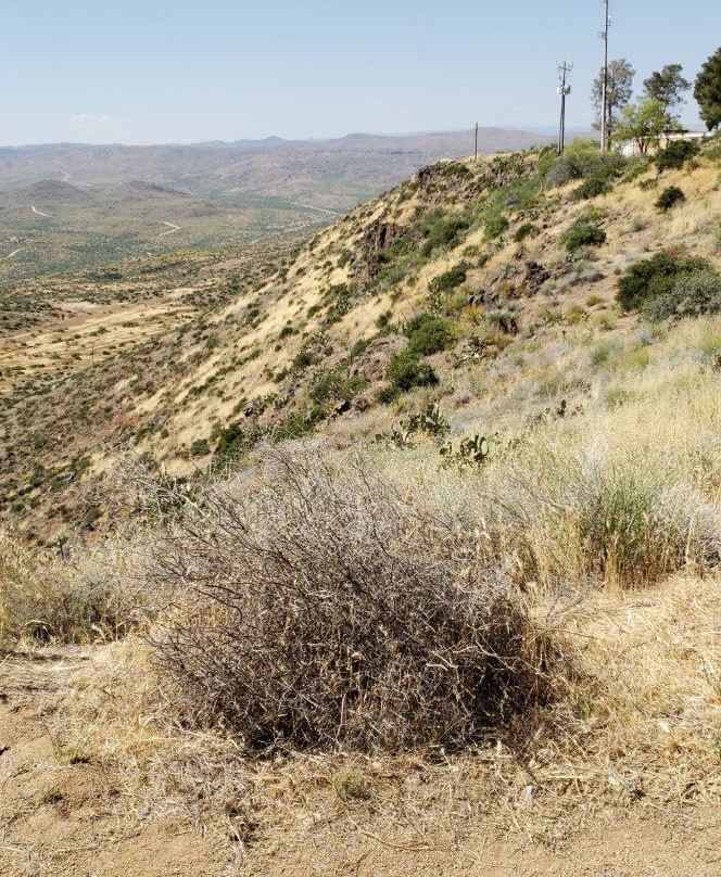 Sunset Point Rest-Black Canyon City必去景点