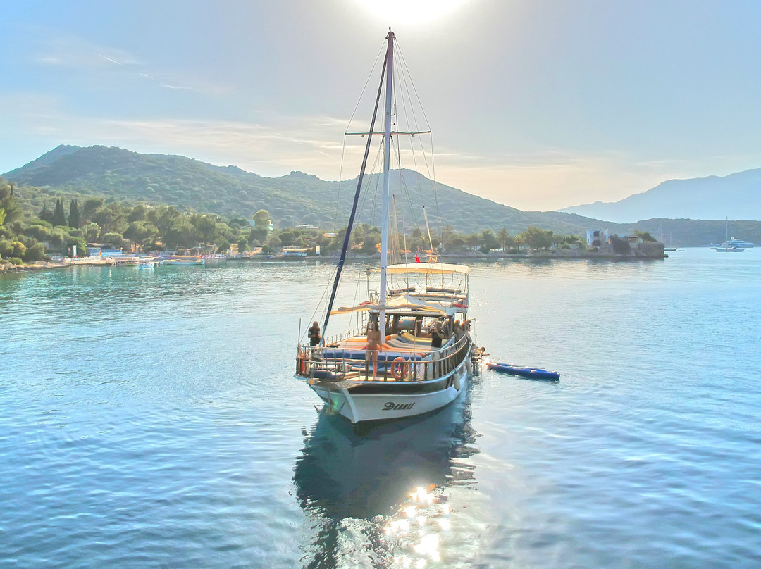 Dennis Boat - Private or Daily Tours-代姆雷必去景点