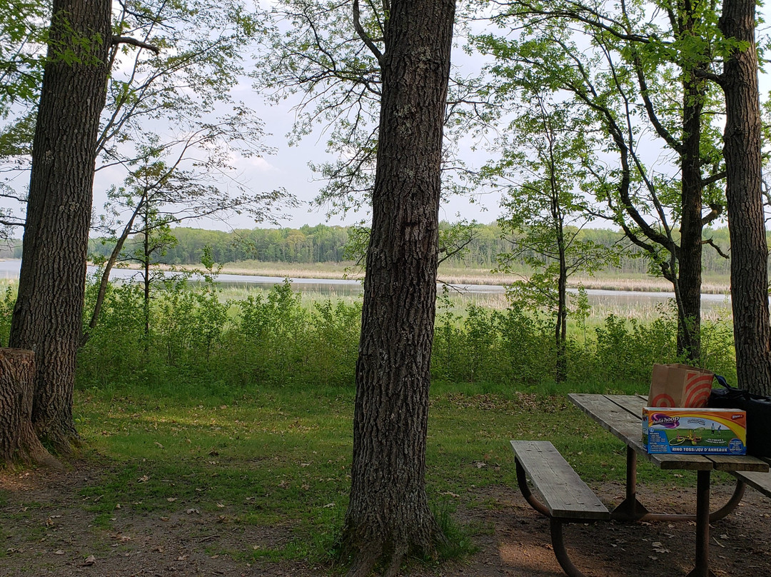 Mille Lacs Kathio State Park景点图片