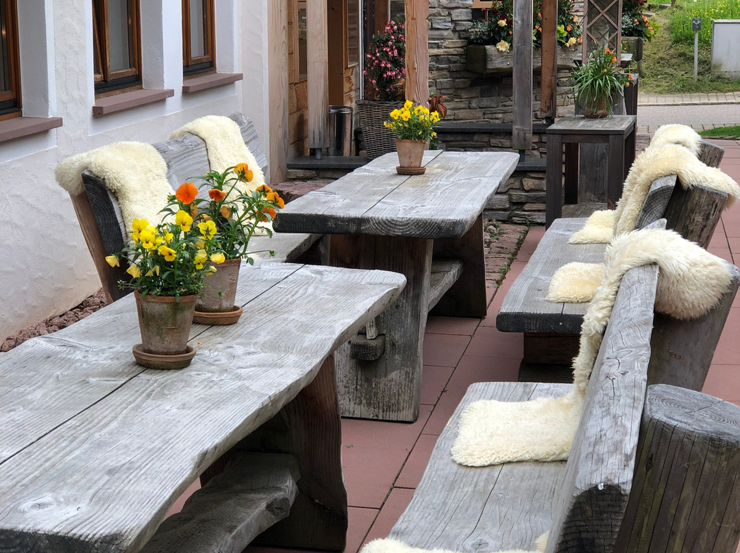 Hotel Grüner Wald主图
