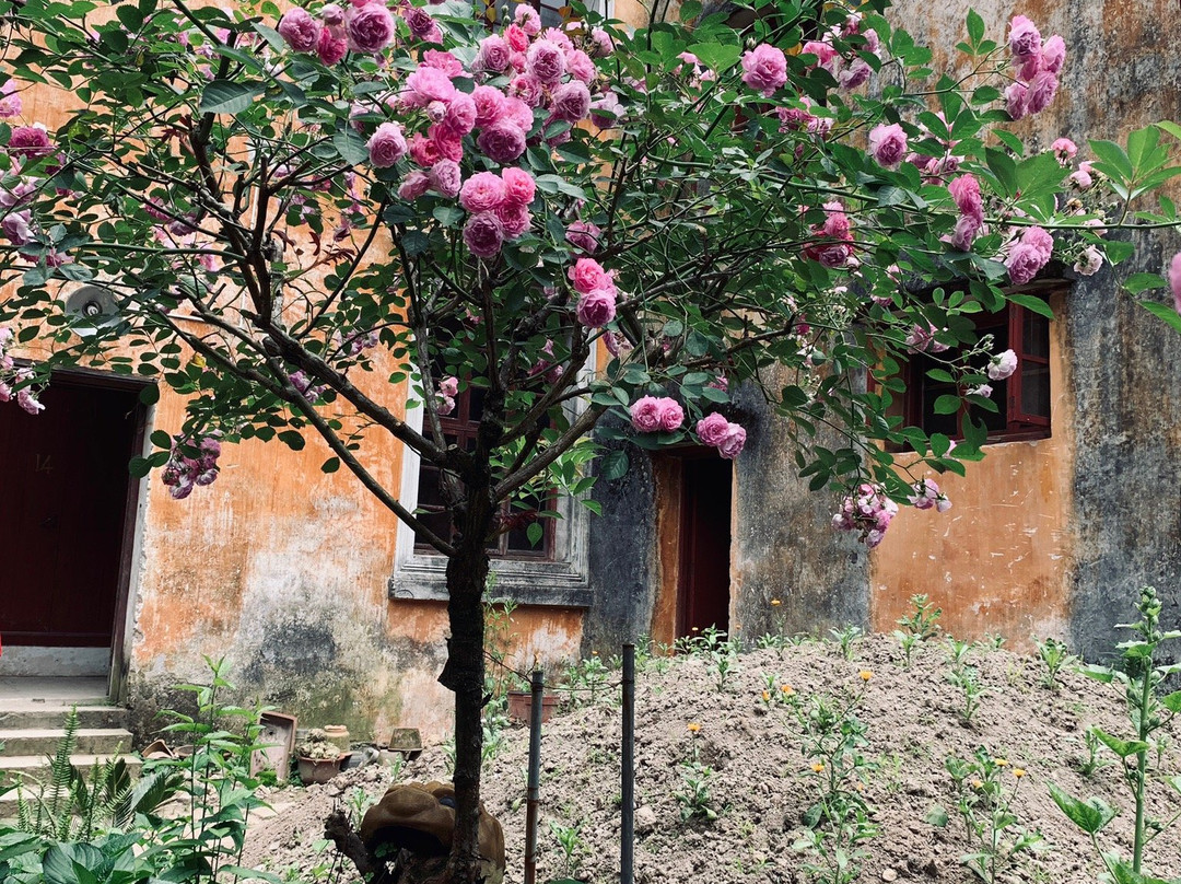 台州国清寺景点图片