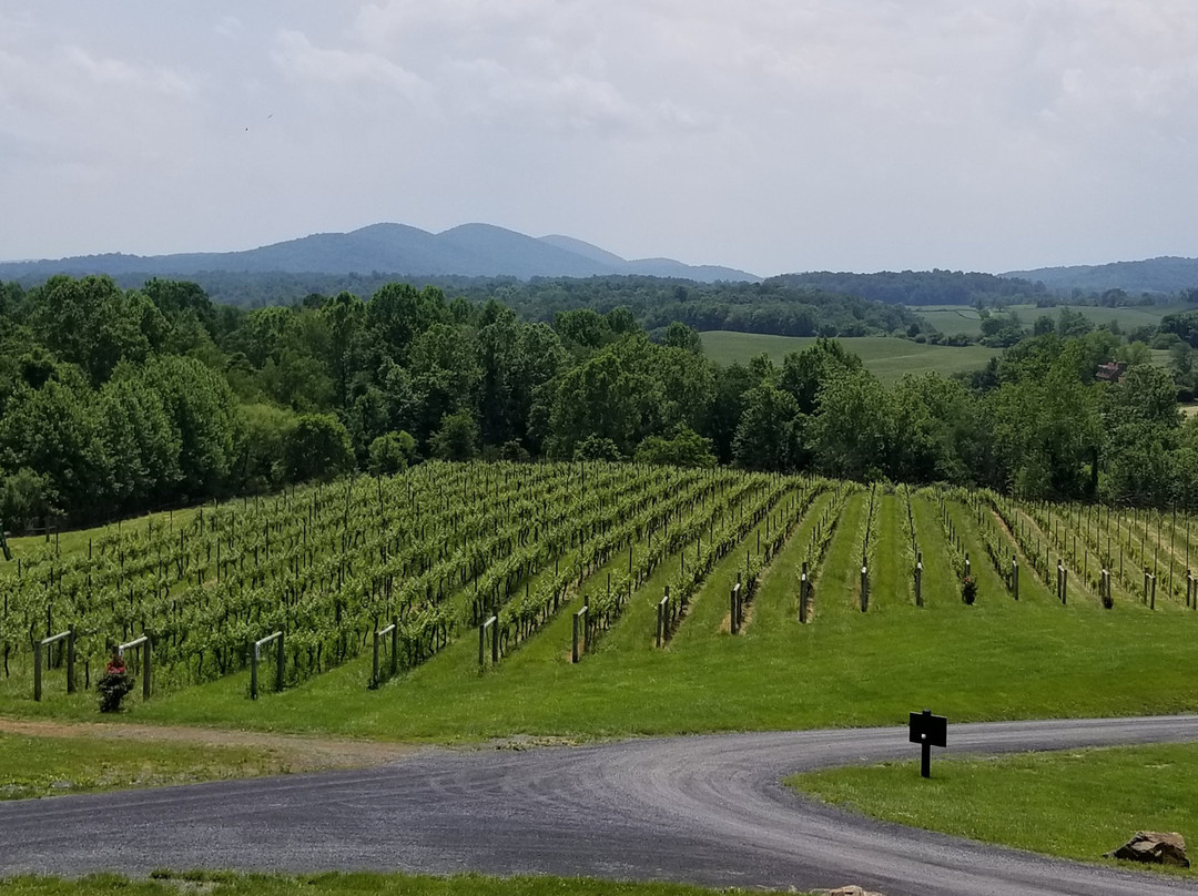 Delaplane Cellars-Delaplane必去景点