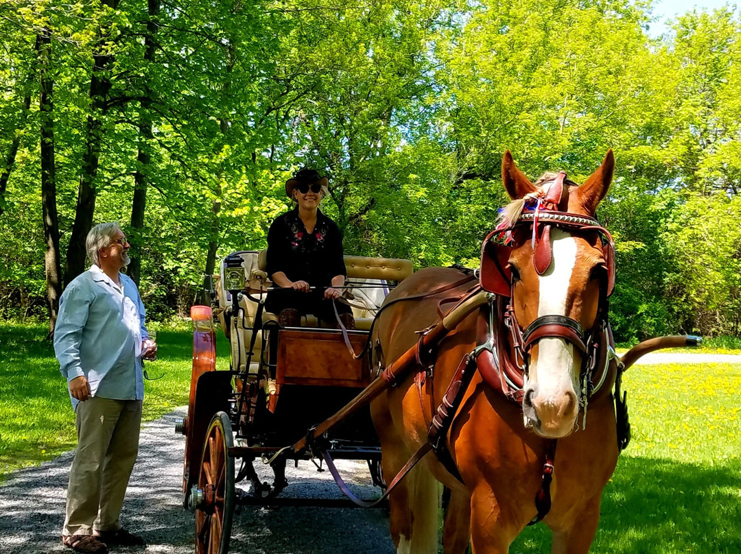 WineHaven Winery and Vineyard-Chisago City必去景点