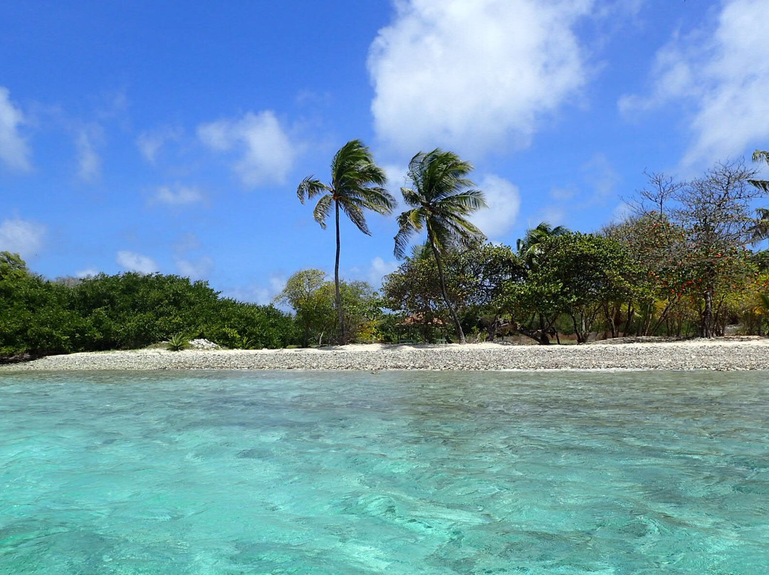 Simply Carriacou Island Tours景点图片