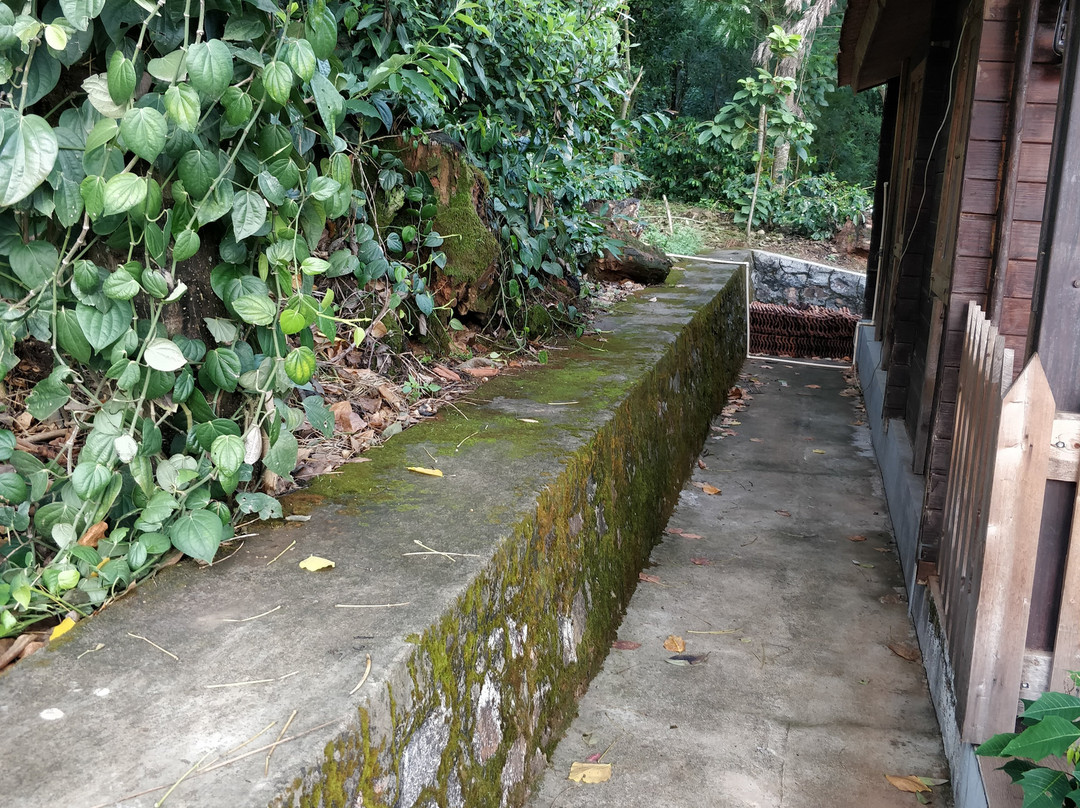 Gonakal Homestay主图