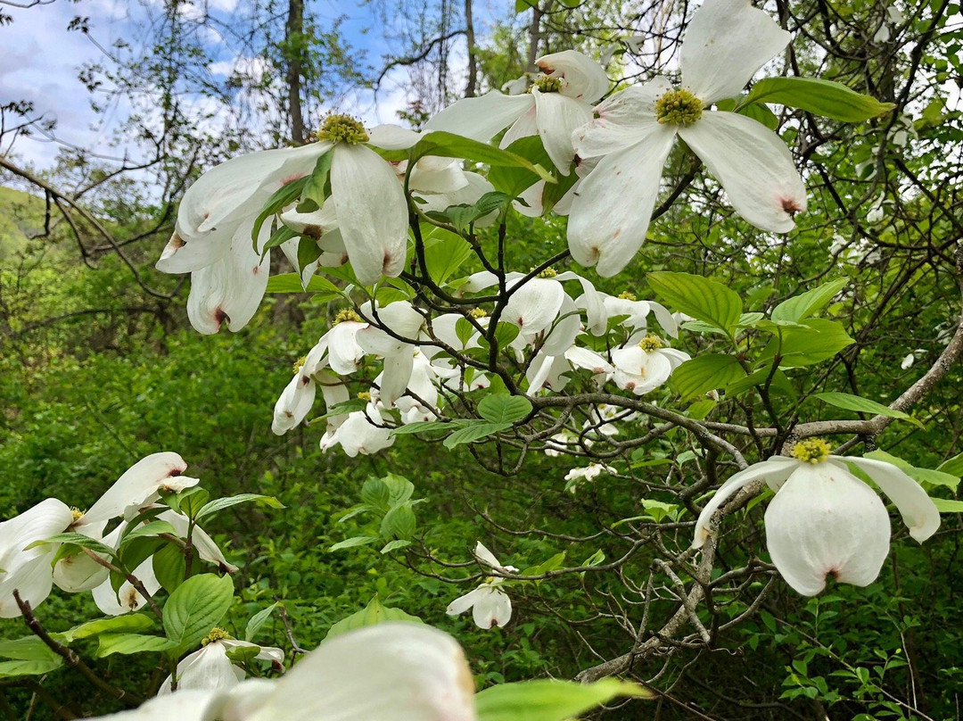 Doodletown-Stony Point必去景点