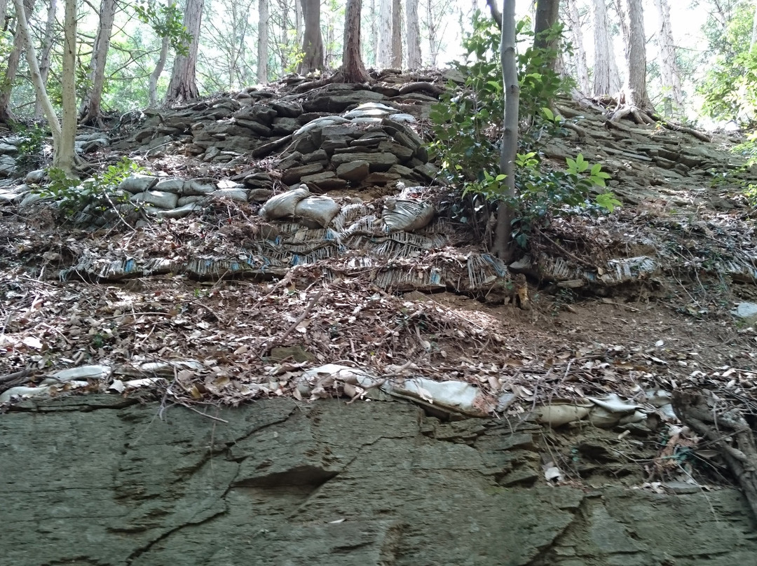 The Site of Ogura Castle-都几川町必去景点
