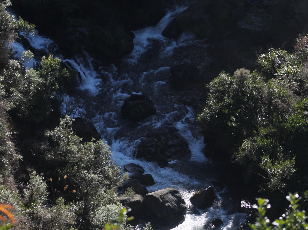 Waipunga Falls景点图片