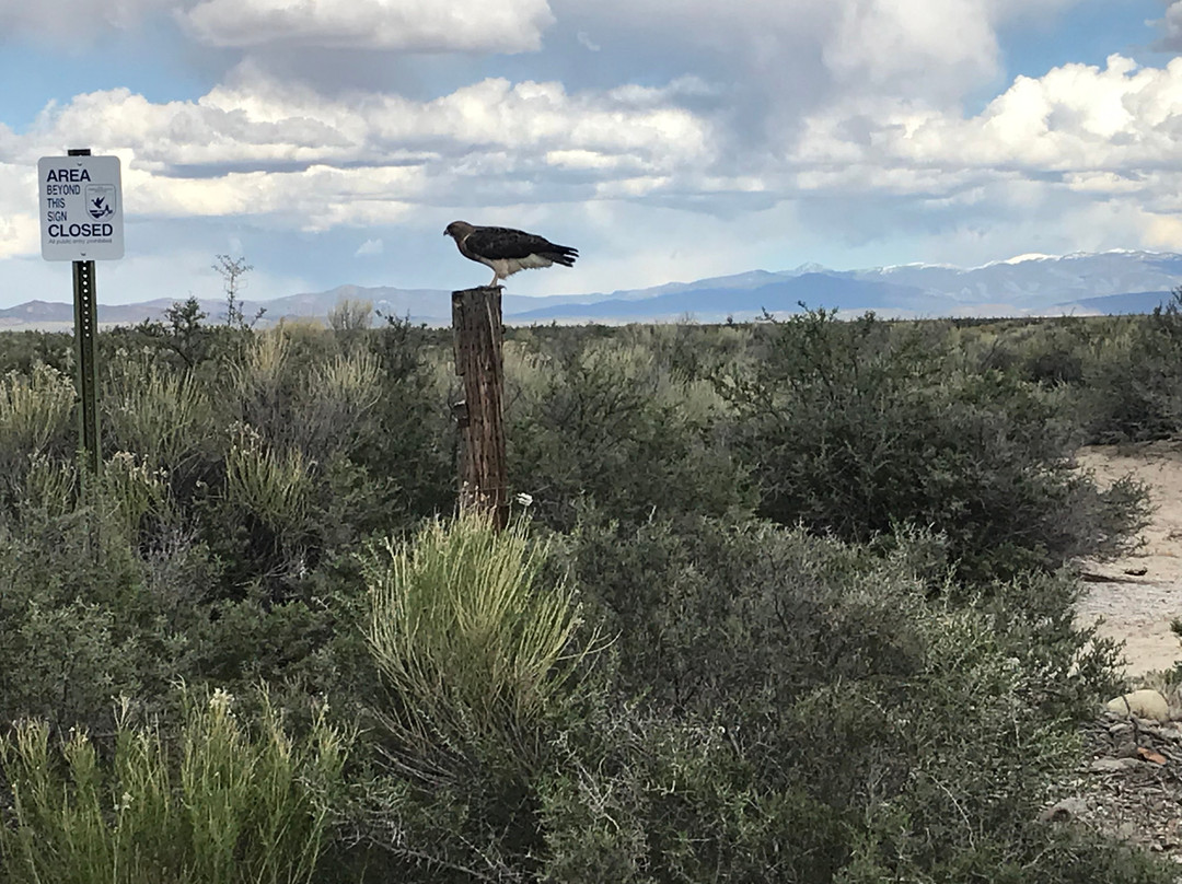 Alamosa National Wildlife Refuge-阿拉莫萨必去景点