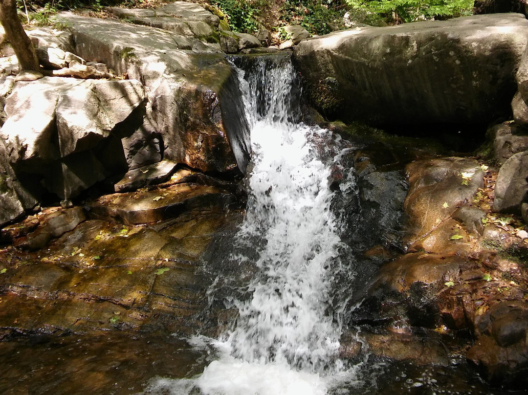 Parque Mediombiental de Gualba-Gualba必去景点