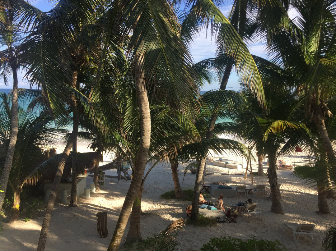 图卢姆小屋主图