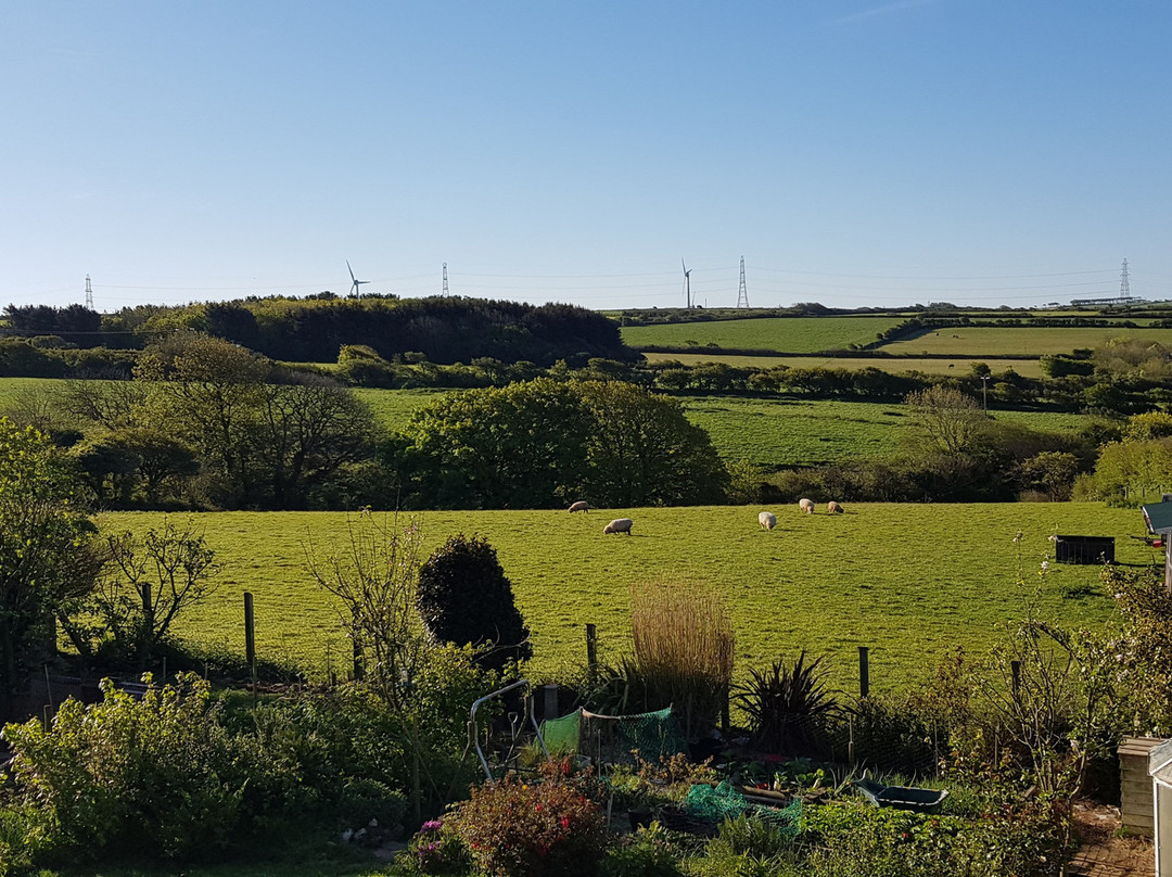 Cornish Valley View B&B主图