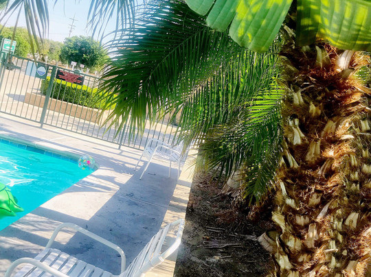 Orange Grove RV Park主图