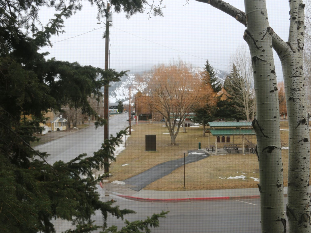 赭色鹦鹉Spa旅馆主图