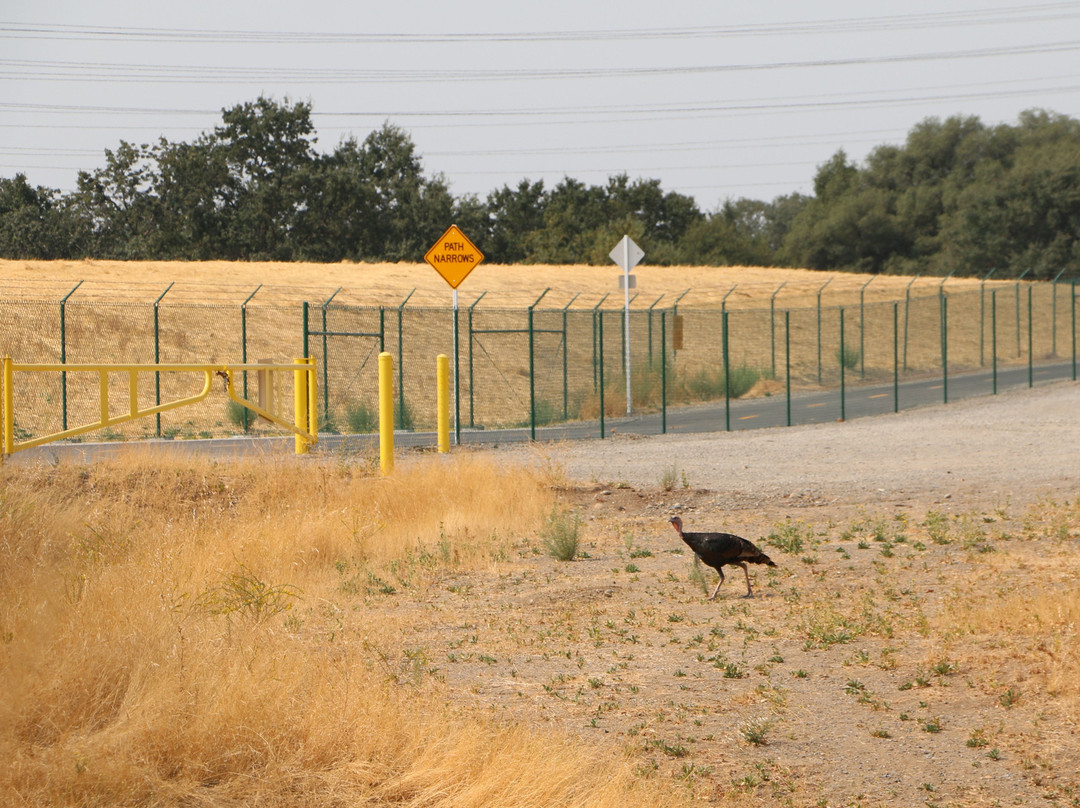 Antelope Creek Trail景点图片