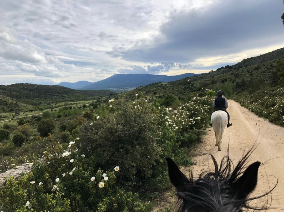 Horse Riding Madrid -Jarahonda景点图片