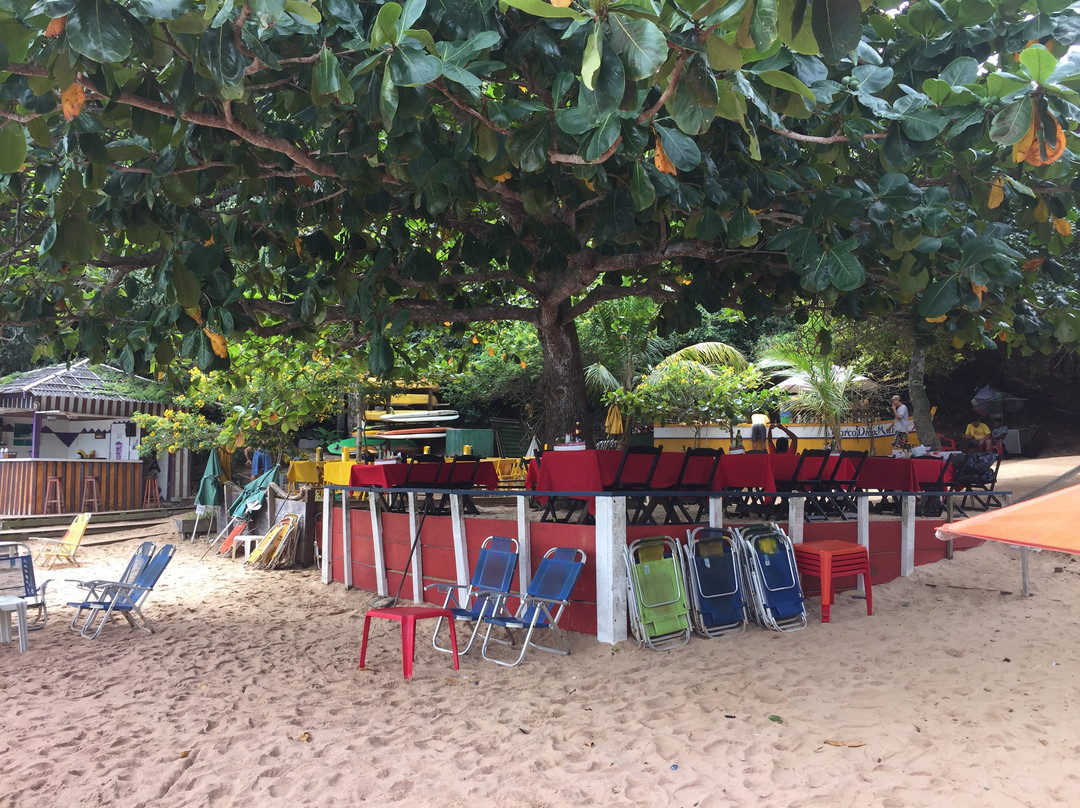 Joao Fernandinho Beach景点图片