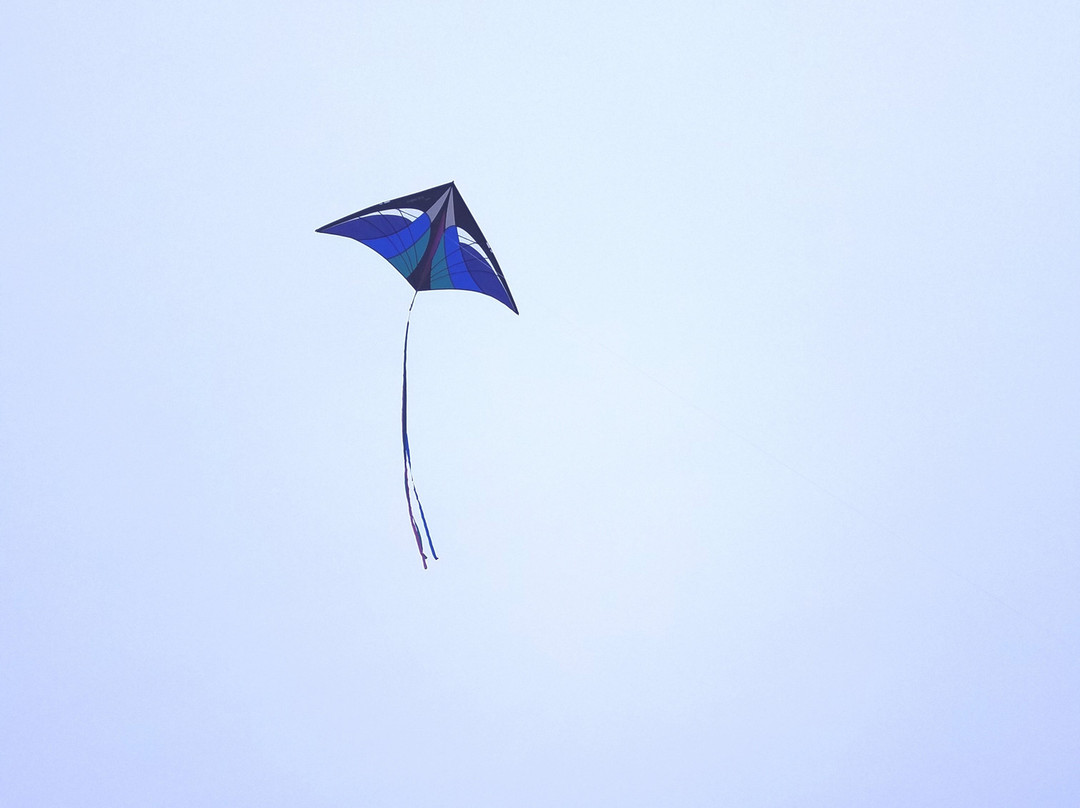 The Kite Loft景点图片