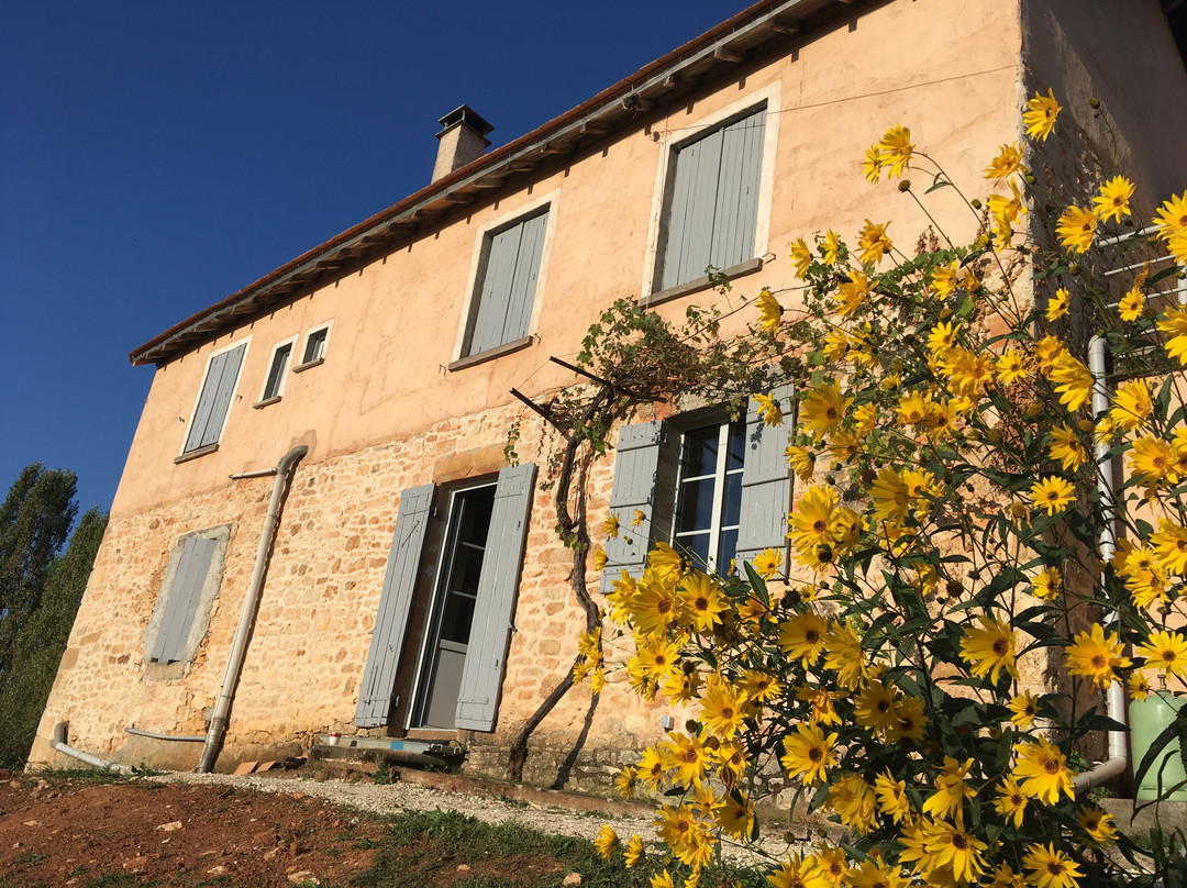 Saint-Jory-las-Bloux旅游攻略图片