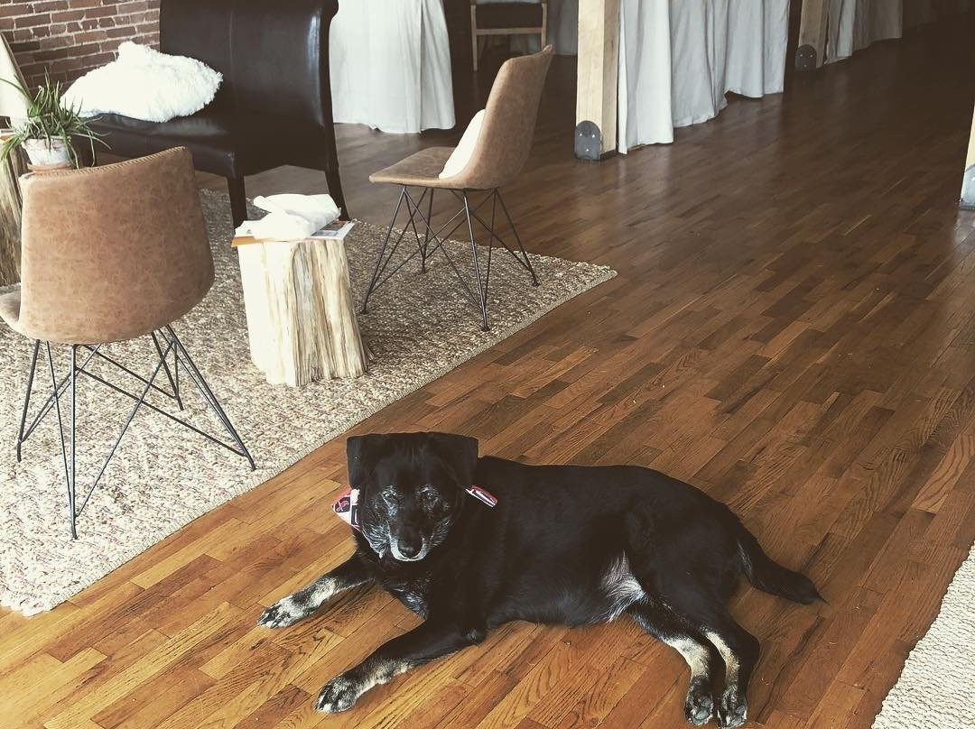 Juste Moi Yoga & Spa-Perryville必去景点