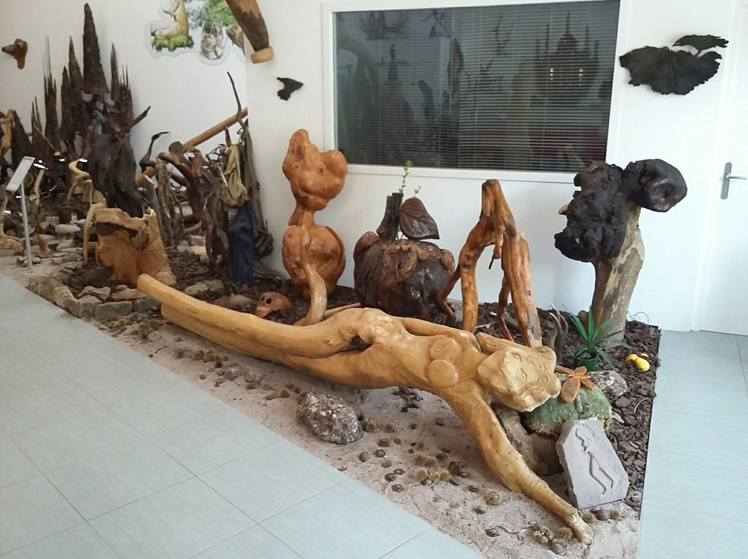 Musée des Mille et Une Racines景点图片