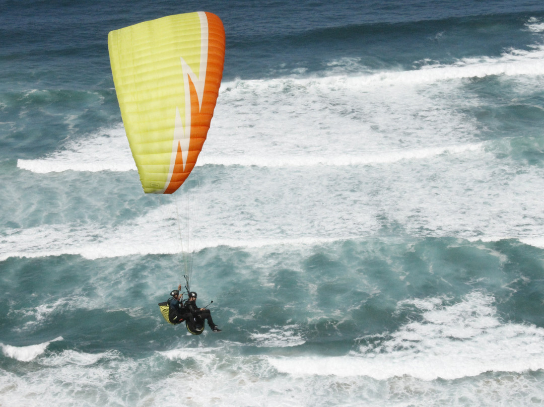 Paragliding with Nelson景点图片