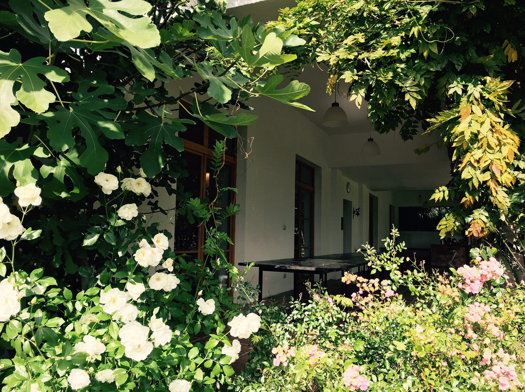 Villa Berging主图