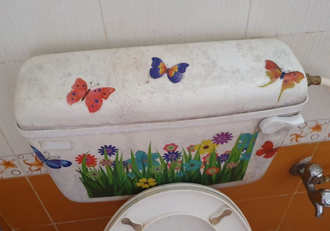 OYO 8731 Bell flower主图