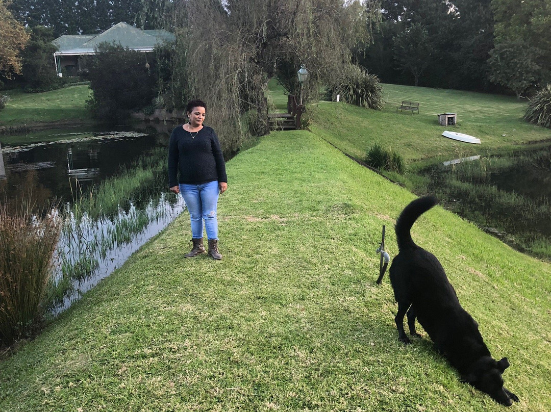 Twin Pools Lodge Bed & Breakfast主图