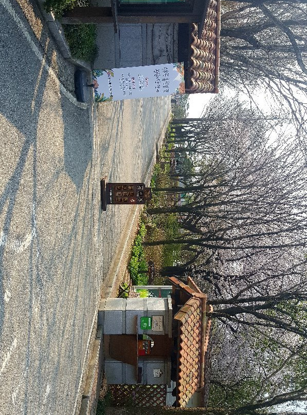 Jeonju Arboretum景点图片
