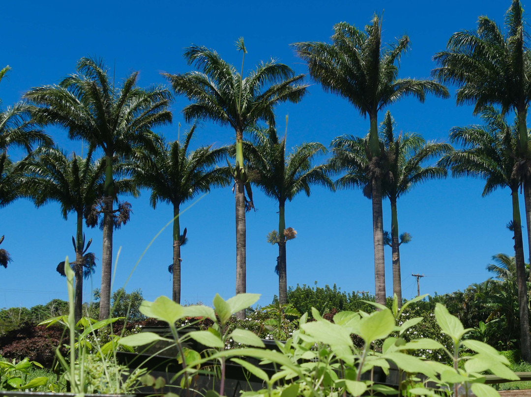 Hale Akua Garden Farm-海库必去景点