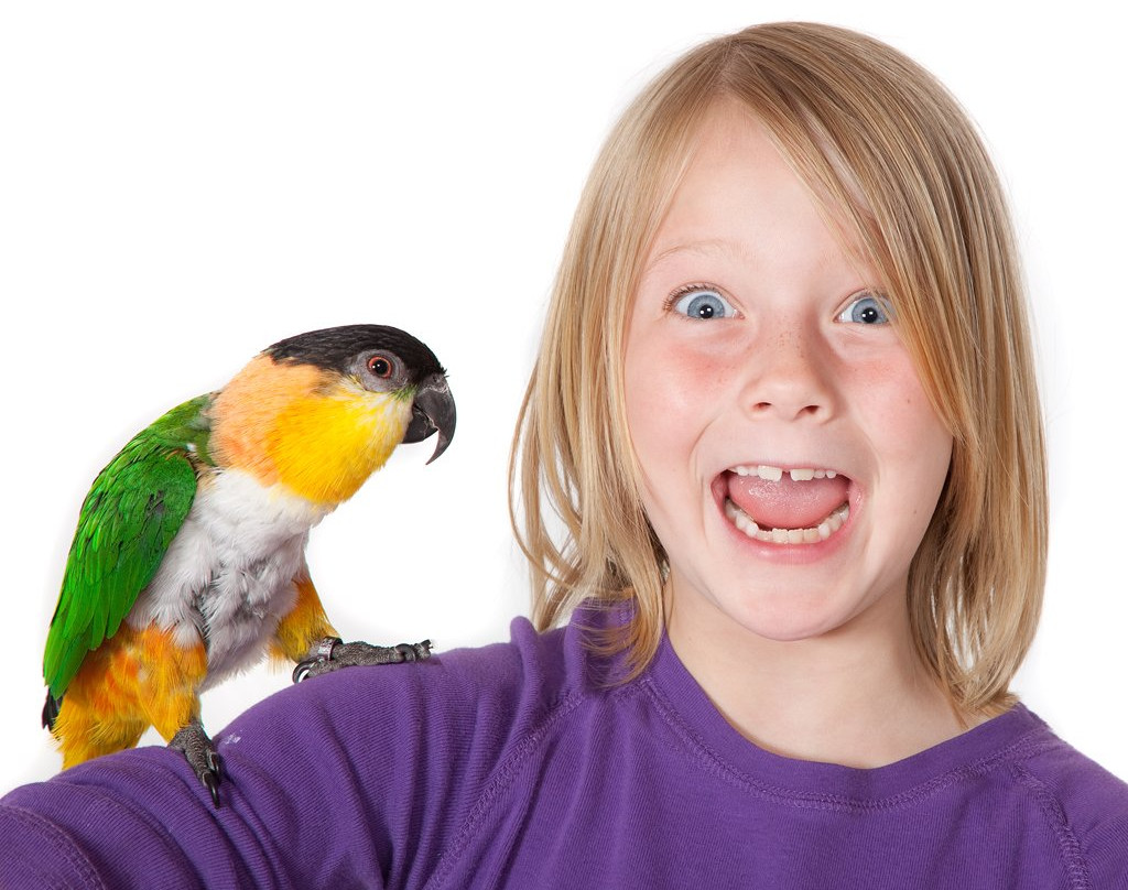 Parrot Partners Canada-Carleton Place必去景点