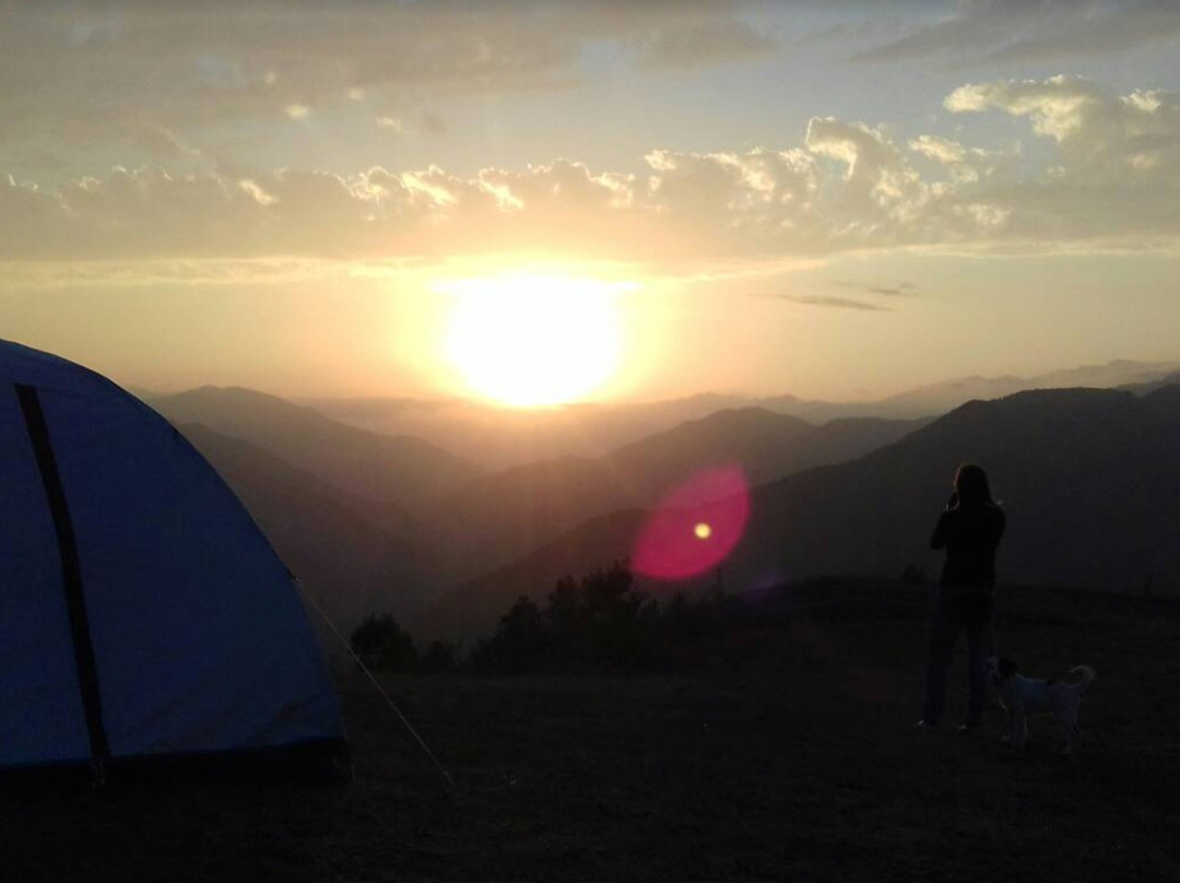 Tago旅游攻略图片