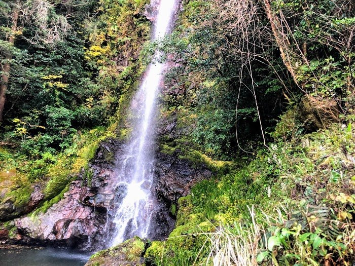 Odaru Fall-越知町必去景点