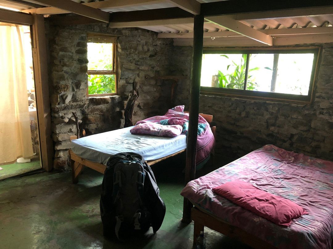 Friends Wild Coast Backpackers & Guesthouse主图