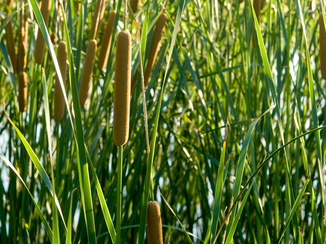 POSTOAK Lodge & Retreat主图