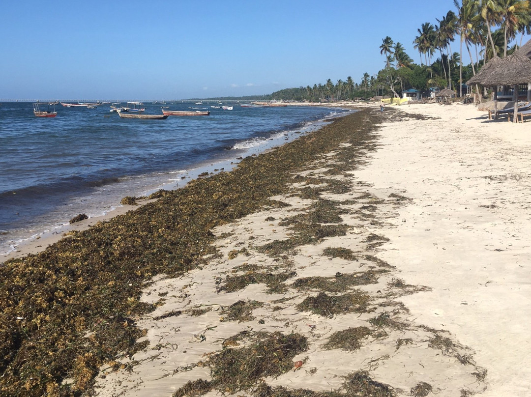 Butiama Beach Lodge主图