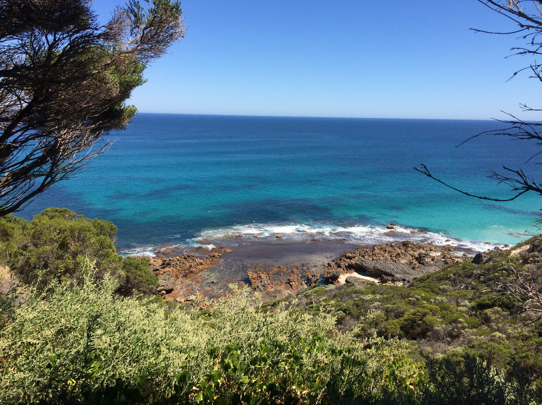 Libertino Travel - Private Tours-珀斯必去景点