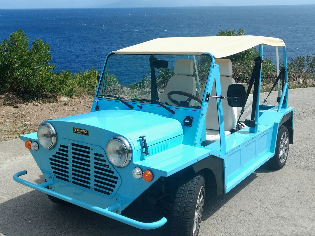 Iguana Locations-Terre-de-Bas必去景点