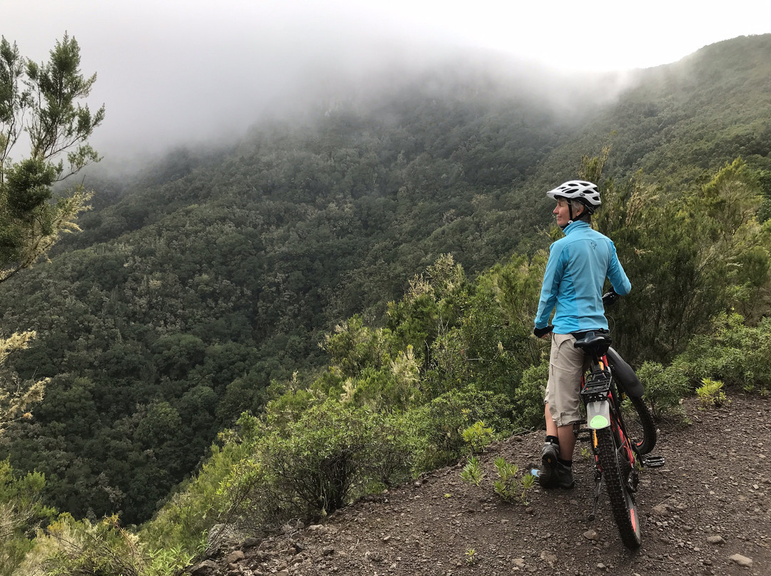 Happy eBikers-El Medano必去景点