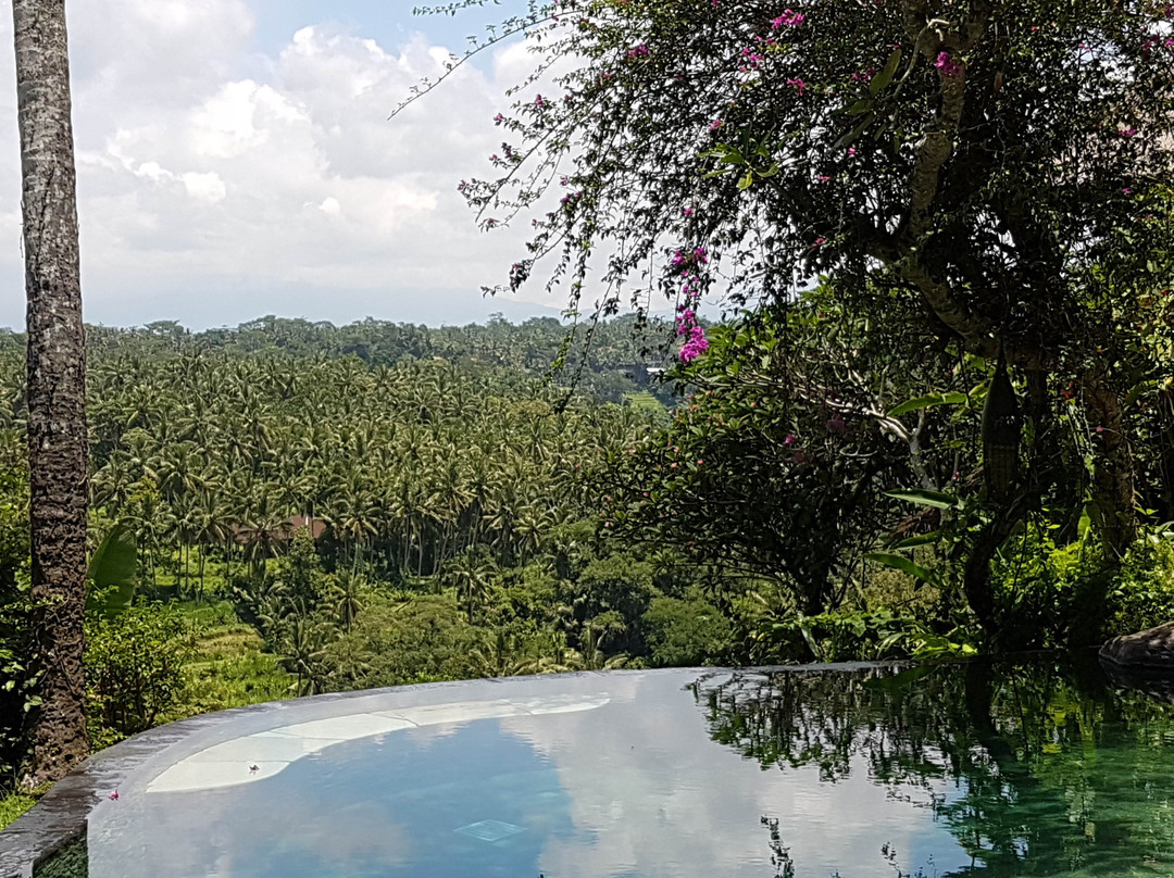 塔曼贝贝克度假Spa酒店主图