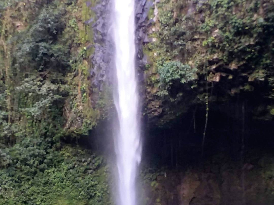 La Fortuna Waterfall景点图片
