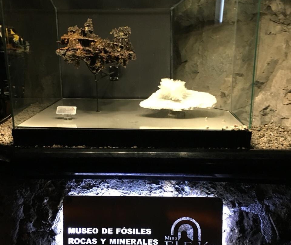 Museo De Minerales & Fosiles-萨卡特卡斯必去景点