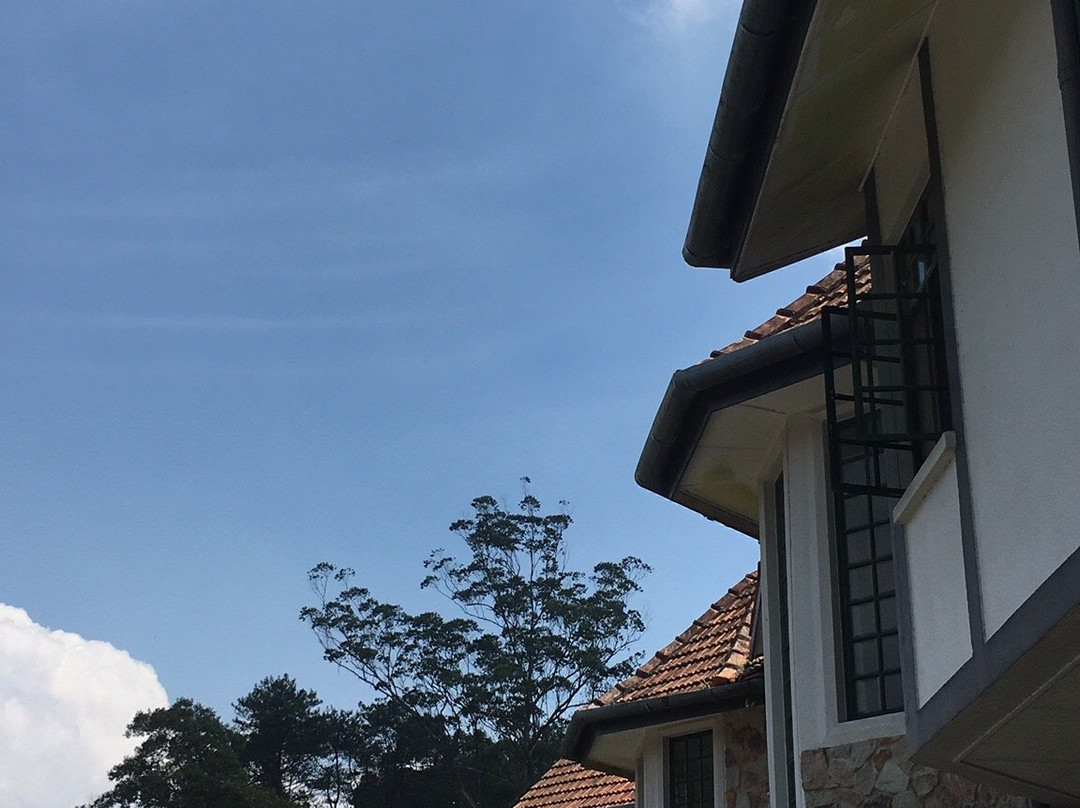 TM Resort